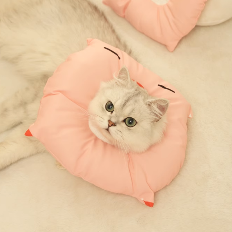 Cat Bite Collar Cat Cones CatAdjustable Recovery Protective pet supplies - DeeplPet