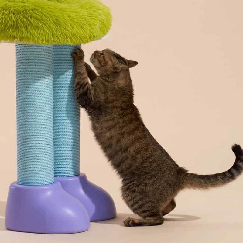 Boot-Shaped Cat Tree: Scratcher & Cave & Side Table