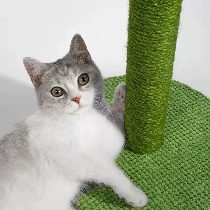 Cactus Green Cat Tree Cat Scratcher Cat Scratching Post Vertical Cat Activity Interactive Toy