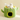 Cat Bed Cactus Sisal Bucket Cat nest