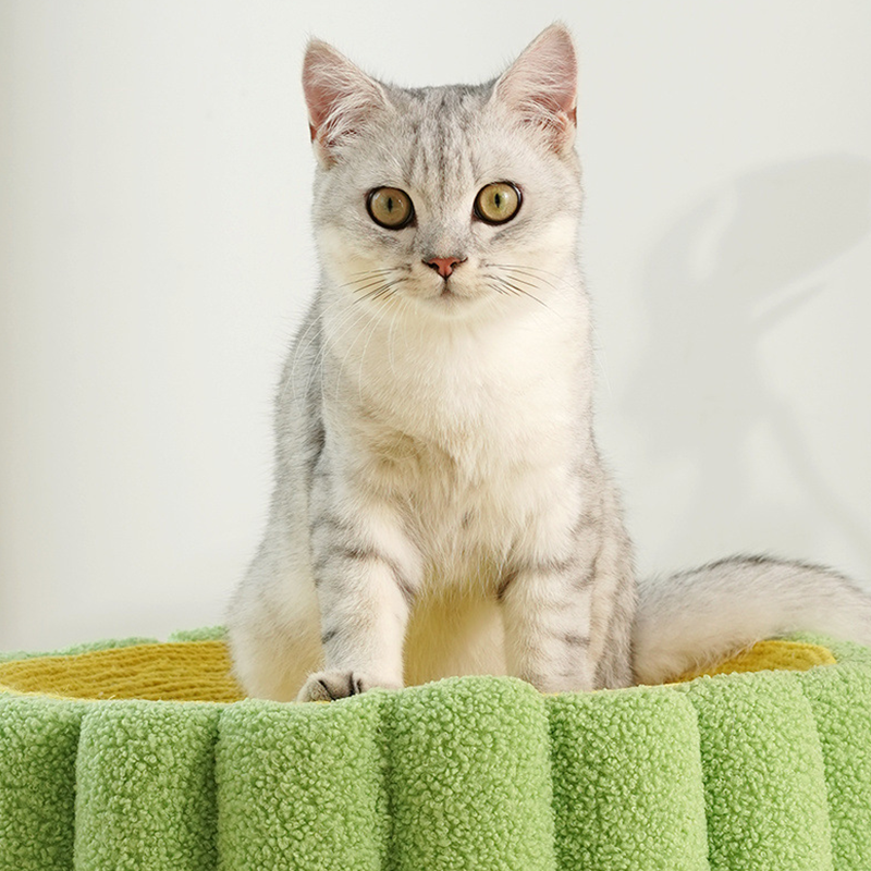 Cat Bed Cactus Sisal Bucket Cat nest