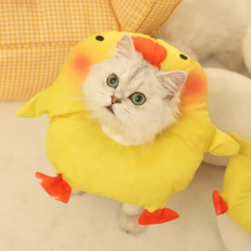 Cat Bite Collar Cat Cones CatAdjustable Recovery Protective pet supplies - DeeplPet