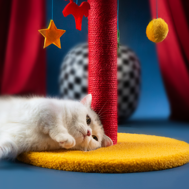 Circus Cute Cat Tree Cat Climbing Frame Tower Scratching Post