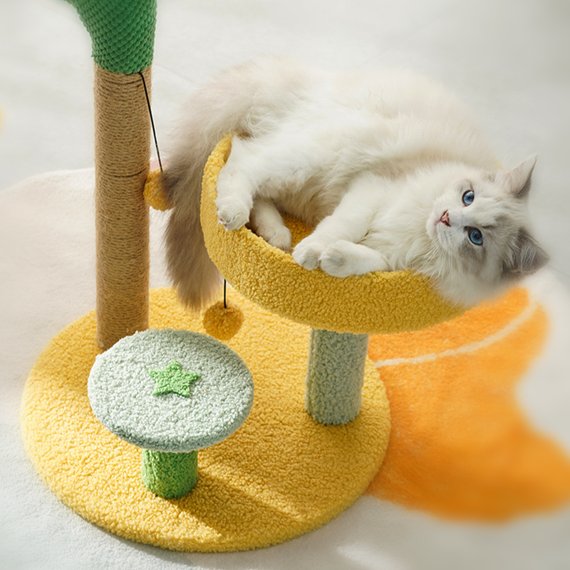 Cute Cactus Pine Cat Tree Cat Climbing