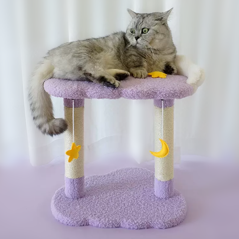 purple star Cat tree Cozy Fluffy Kitten Climbing Small Cat Indoor Activitye - DeeplPet