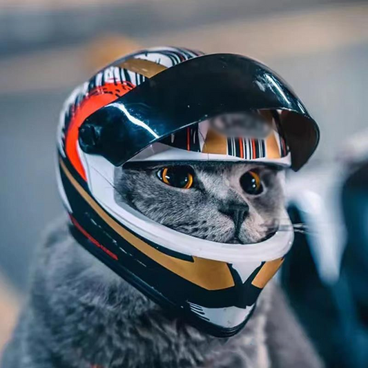Pet Helmets, Pet Motorbike Helmet Mini Bike Cap Outdoor so cute