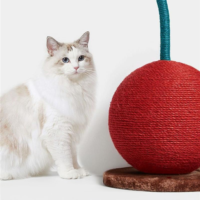 orange Cat scratch ball with Sisal Rope cherry Cat Toy - DeeplPet