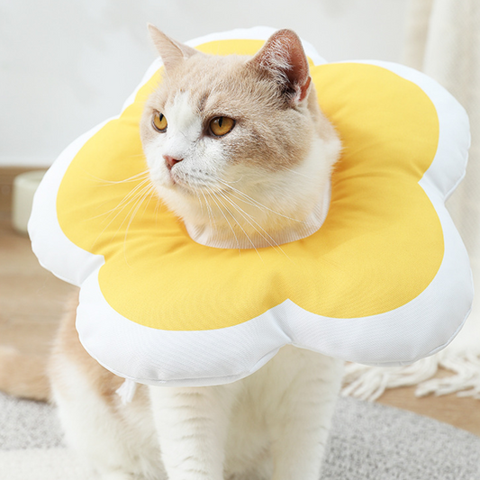 Cat Recovery Collar,Soft Collar Adjustable Waterproof Flower Collar - DeeplPet
