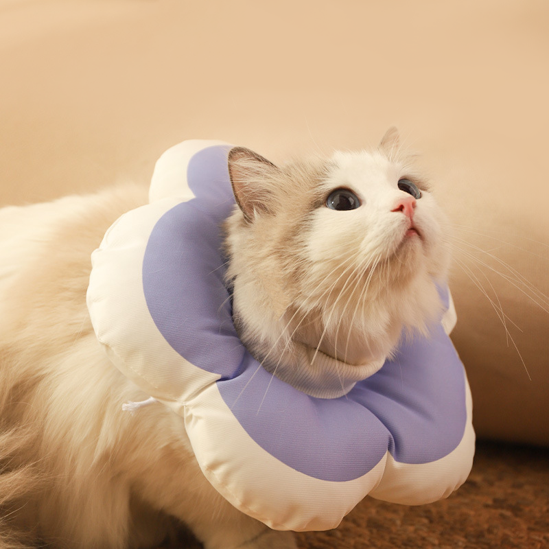 Cat Recovery Collar,Soft Collar Adjustable Waterproof Flower Collar - DeeplPet