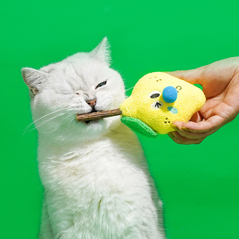 Pets Silvervine Cat Toy, Cute Organic Catnip Toy, Kawaii Plush Ball Toy for Cats and Kittens - DeeplPet