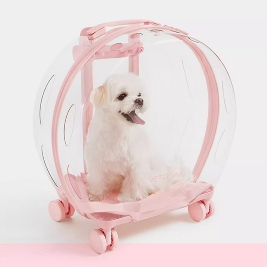 pet color block cat carrier Bubble Pet Carrier - DeeplPet