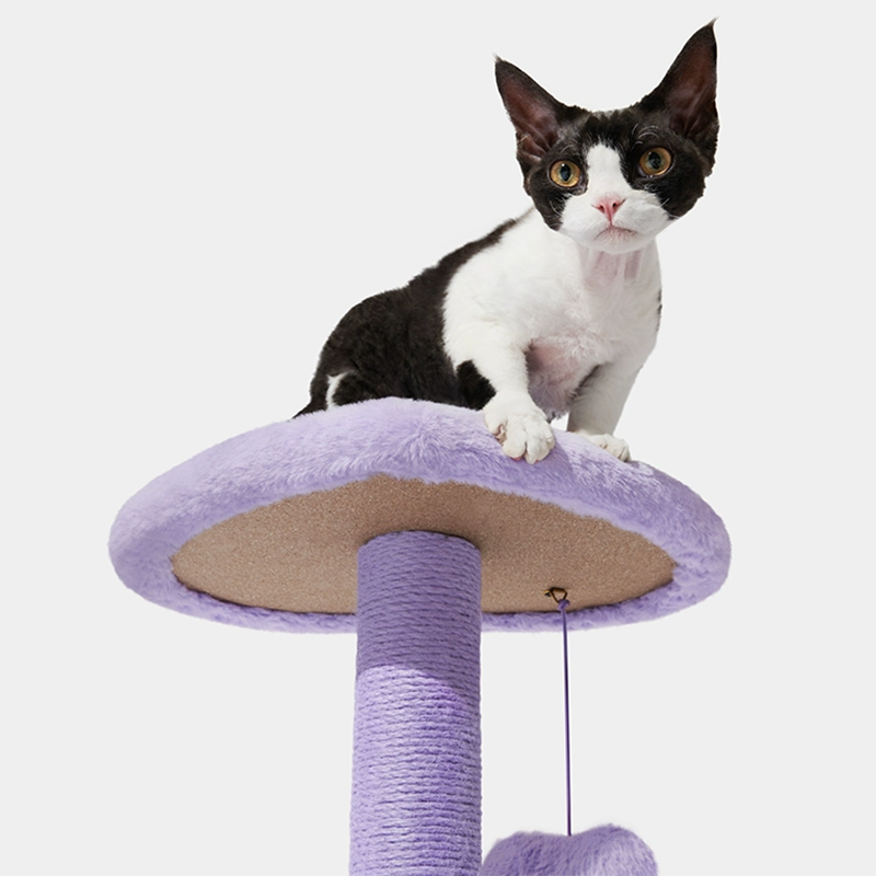 Cat Tree Heart purple Cat Climber (Two Platforms)，for Cats with Heart Shaped Platform