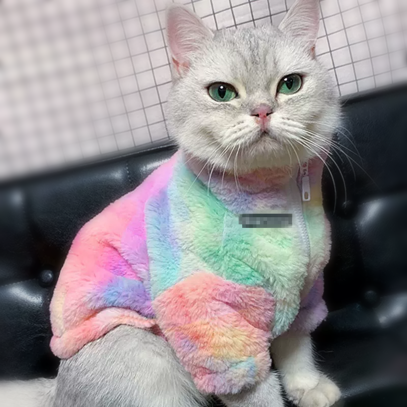 Rainbow Series Tie-Dye Cat Clothes Warm Pet Clothes Great photo props - DeeplPet