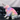 Rainbow Series Tie-Dye Cat Clothes Warm Pet Clothes Great photo props - DeeplPet